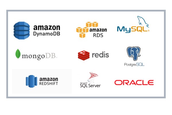 Database Services – WebAmplifi
