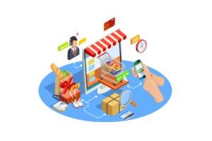 web development services ecommerce