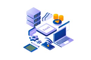 web development services SaaS